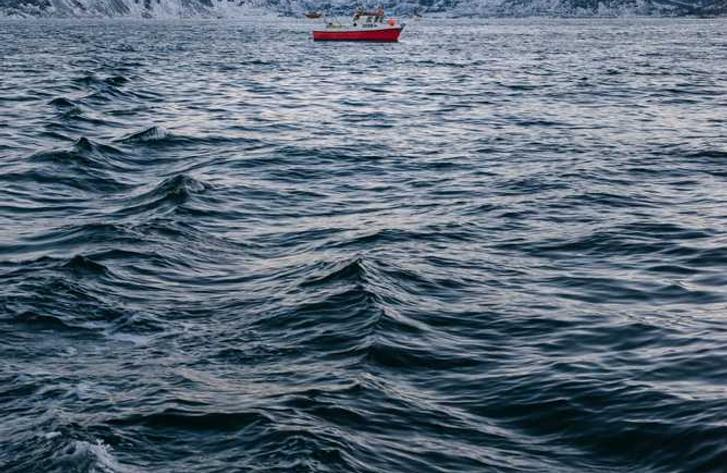 PULSE Report - Recommendations dashboard